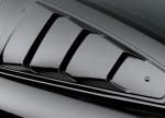 Ford Mustang BlackJack by Roush 2008 года